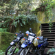 Illustration for article titled Finding Abandoned WWII Bunkers On Washingtons Olympic Peninsula
